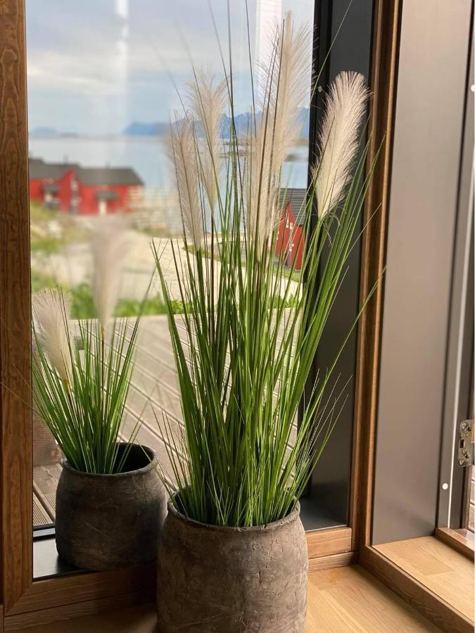 Superior Cabin Ballstad Lofoten 외부 사진