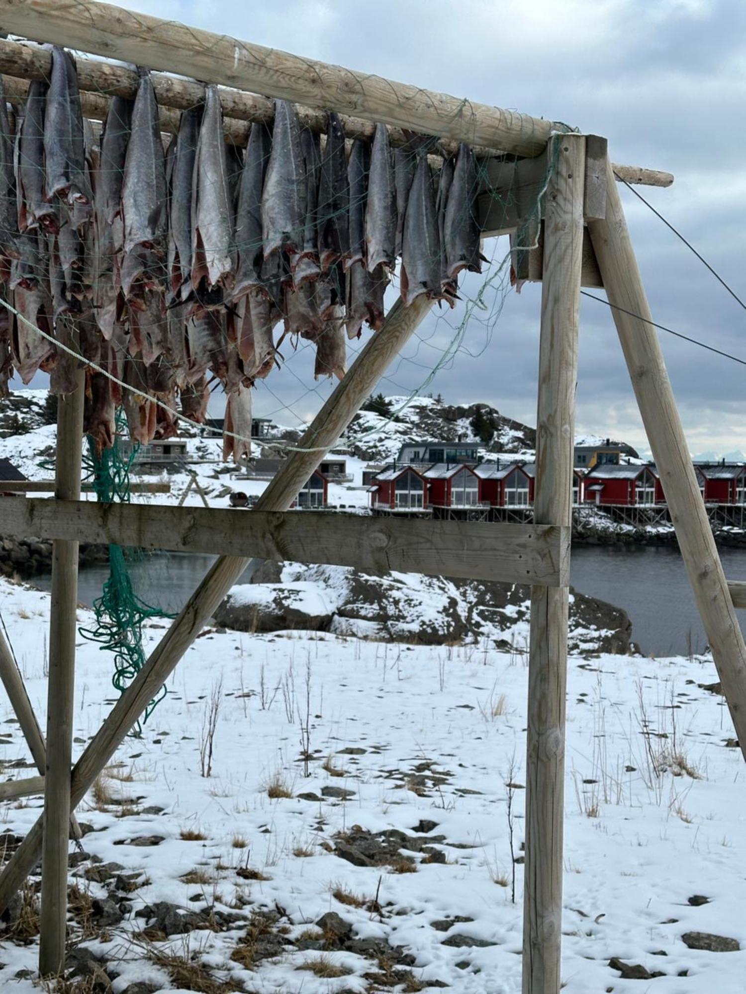 Superior Cabin Ballstad Lofoten 외부 사진