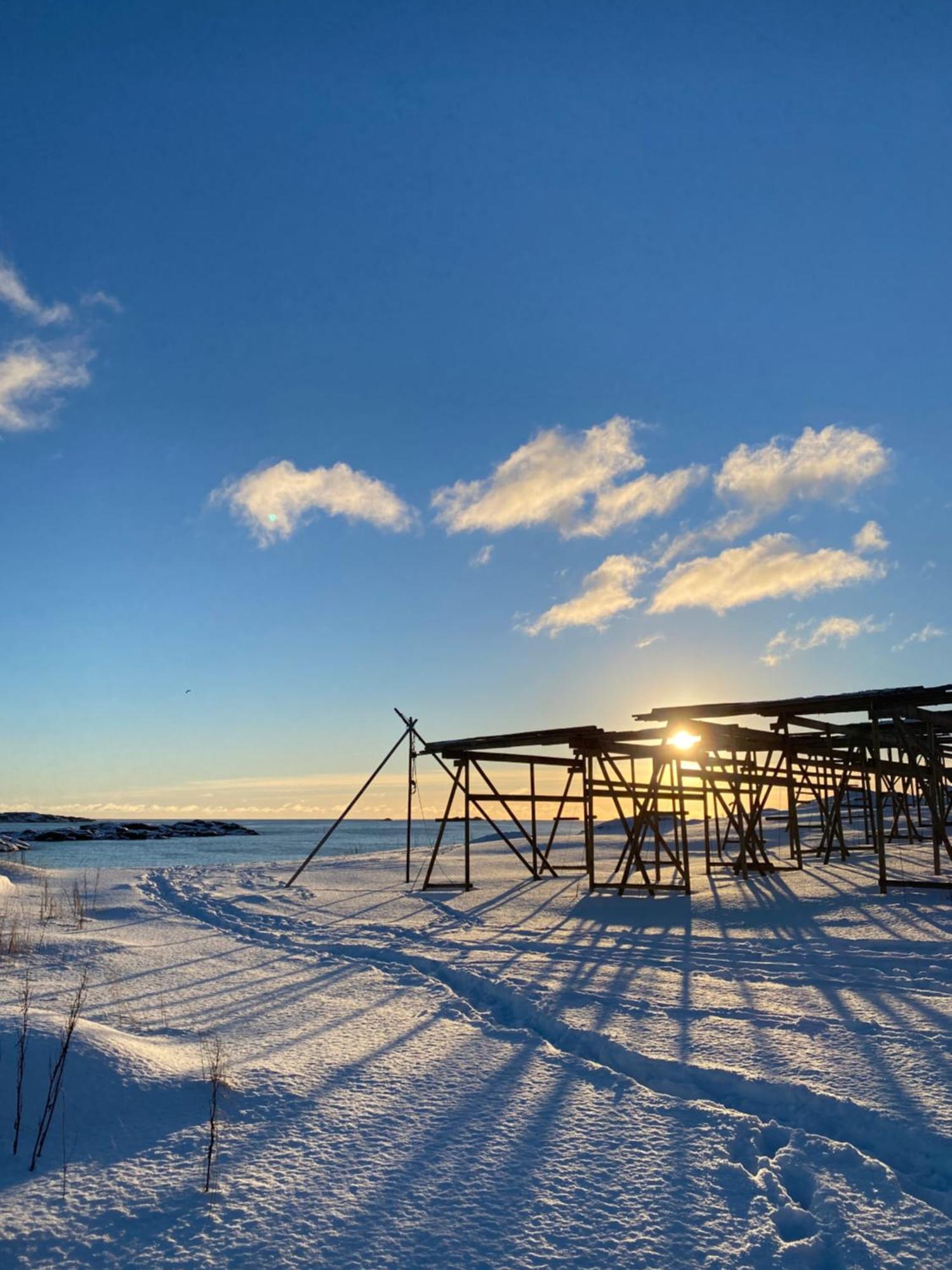Superior Cabin Ballstad Lofoten 외부 사진